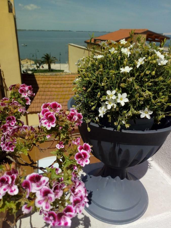 B&B La Felicita Lesina Exteriör bild